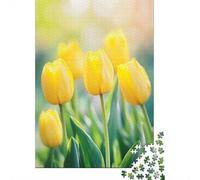 1000 Piece Jigsaw Puzzle, Yellow Tulips in Sunlight, 38x26cm/1000pcs, for Adults, Indoor Puzzle Activity, Weekend Downtime And Cosy Evenings
