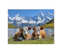 1000 Piece Jigsaw Puzzles Adults Child Educational Toys，Alpine Cows，Classic 3D wooden Puzzle Unique Gift Home Decor（75x50cm）-Y81