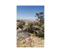 1000 Piece Jigsaw Puzzles Adults Child Educational Toys，Drakensberg Mountains (South Africa)，Classic 3D Paper Puzzle Unique Gift Home Decor（38x26cm）-BA53