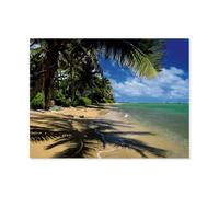 1000 Piece Jigsaw Puzzles Adults Child Educational Toys，Hawaii Beaches - The Most Beautiful Beaches in the Pacific，Classic 3D Papery Puzzle Unique Gift Home Decor（38x26cm）-AZ5