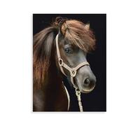 1000 Piece Jigsaw Puzzles Adults Child Educational Toys，Horse，Classic 3D Paper Puzzle Unique Gift Home Decor（38x26cm）-BC72