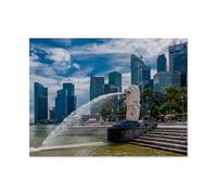 1000 Piece Jigsaw Puzzles Adults Child Educational Toys，Singapore，Classic 3D wooden Puzzle Unique Gift Home Decor（75x50cm）-AT85