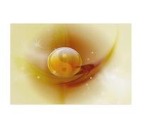 1000 Piece Jigsaw Puzzles Adults Child Educational Toys，Yin Yang CB，Classic 3D Paper Puzzle Unique Gift Home Decor（38x26cm）-Z73