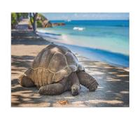 1000 Piece Jigsaw Puzzles，Aldabra Giant Tortoise，Puzzles for Adults and Teenagers, Puzzle Sets for Challenging Puzzle Game and Family Play（50x70cm）-X30