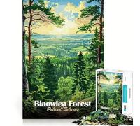 1000 Piece Jigsaw Puzzles- Bialowieza Forest Poland∕Belarus Accurate Cut Fun Thinking Fun Game Slow Time Fun Christmas Home Art (38x26cm)