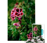 1000 Piece Jigsaw Puzzles Burning Flowers for Educational Game Challenge Toy Brain Teaser Game Perfect Decoration Gifts for Women Men (Size 38x52cm)