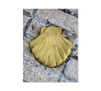 1000 Piece Jigsaw Puzzles，Camino del Norte - Signpost，Puzzles for Adults and Teenagers, Puzzle Sets for Challenging Puzzle Game and Family Play（50x70cm）-AD66