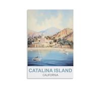 1000 Piece Jigsaw Puzzles Catalina Island Californias Challenging Game Toys, Impossible Puzzle, Family Decoration Puzzle 50x70cm