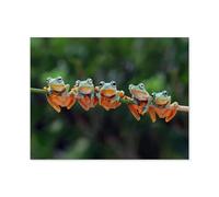 1000 Piece Jigsaw Puzzles for Adults，Adorable Java tree frogs lined up on a branch，1000 Pieces Puzzles for Challenging Family Activity Game Art Wall Decor DIY Puzzle Gifts（38x26cm）-B71