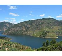 1000 Piece Jigsaw Puzzles for Adults And Kids Age 14 Years Up - Hills river greenery 75x50cm