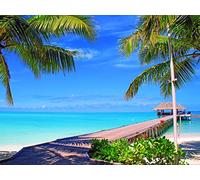 1000 Piece Jigsaw Puzzles for Adults And Kids Age 14 Years Up - Maldives sky clouds 75x50cm