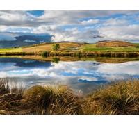 1000 Piece Jigsaw Puzzles for Adults And Kids Age 14 Years Up - River sky grass 75x50cm