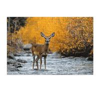 1000 Piece Jigsaw Puzzles for Adults, Animal Puzzles for Adults, Gift for Women, Men, Christmas, Family Wooden Puzzle Educational Games, Challenging Adult Jigsaws, Box Packaging, Deer Pattern, R-23