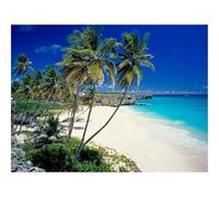 1000 Piece Jigsaw Puzzles for Adults -Beach,tropics,sea 70x50cm