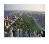 1000 Piece Jigsaw Puzzles for Adults，Central Park and Skyscrapers of Manhattan, New York，Jigsaw Puzzle Adult Paper Puzzles Family Entertainment Toys（38x26cm）-W78