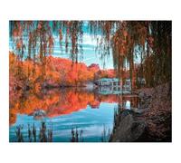 1000 Piece Jigsaw Puzzles for Adults -Central,park,new,york,autumn 70x50cm