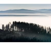 1000 Piece Jigsaw Puzzles for Adults Challenging Game - forests trees fog 75x50cm