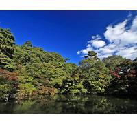 1000 Piece Jigsaw Puzzles for Adults Challenging Game - River trees sky 75x50cm