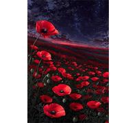 1000 Piece Jigsaw Puzzles for Adults, Challenging Puzzles, Puzzle Game, Red Poppies Puzzle 1000 Pieces