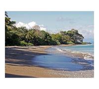 1000 Piece Jigsaw Puzzles for Adults -Coast,palm,trees,island 70x50cm