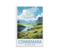 1000 Piece Jigsaw Puzzles for Adults，Connemara National Park 1000 Piece Puzzle Classic Educational Games Beautiful Decoration Puzzle 52x38cm