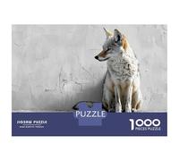 1000 Piece Jigsaw Puzzles for Adults Coyote Portrait Against White Textured Wall Puzzles for Adults Relaxing Games A Work of Art Difficult And Challenge 38x26cm/1000pcs