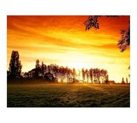 1000 Piece Jigsaw Puzzles for Adults -Decline,field,trees 70x50cm