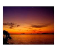 1000 Piece Jigsaw Puzzles for Adults -Decline,orange,surface,of,the,water 70x50cm