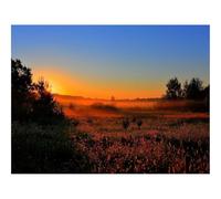 1000 Piece Jigsaw Puzzles for Adults -Decline,sun,lighting 70x50cm