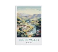 1000 Piece Jigsaw Puzzles for Adults，Douro Valley Europe Posters 1000 Piece Puzzle Educational Games Home Decoration Puzzle 70x50CM