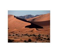 1000 Piece Jigsaw Puzzles for Adults，Dune landscape in Namib-Naukluft National Park，Jigsaw Puzzle Adult Wooden Puzzles Family Entertainment Toys（75x50cm）-AU30