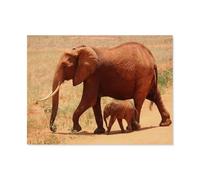 1000 Piece Jigsaw Puzzles for Adults，Elephant and cub in the African savannah，Interesting Puzzle Challenging Family Activity Games Colorful DIY Craft Puzzle for Home Decor Gifts（75x50cm）-N38