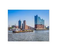 1000 Piece Jigsaw Puzzles for Adults，Elphi, the Elbphilharmonie in Hamburg，Classic Puzzle Difficult Puzzle Fun Creative DIY Toys Gifts for Girls And Boys, Family Games（75x50cm）-R67