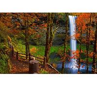 1000 Piece Jigsaw Puzzles for Adults Family Fun Jigsaws Puzzles 1000 Pieces Gifts for Men Adults,Natural Scenery,Roads,Forests,Mountains,Rivers,Waterfalls 38x52CM