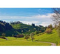 1000 Piece Jigsaw Puzzles for Adults Family Fun Jigsaws Puzzles 1000 Pieces Gifts for Men,Natural Scenery,Roads,Hills 26x38CM