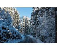1000 Piece Jigsaw Puzzles for Adults Family Fun Jigsaws Puzzles 1000 Pieces Gifts for MenNatural Scenery,Roads,Forests,Mountains 50x70CM