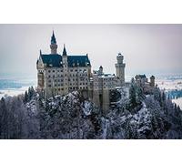 1000 Piece Jigsaw Puzzles for Adults Family Fun Jigsaws Puzzles 1000 Pieces Gifts for MenNatural Scenery,Forest,Castle,Neuschwanstein Castle,Germany 38x52CM