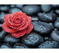1000 Piece Jigsaw Puzzles for Adults, Family Games, Flower Rose, n-282 | Puzzle Challenging Game, Brain Workout, Stress Reduction, Accurate Cutting, Tight Puzzle Piece Fit, Vibrant Colours, 75x50cm
