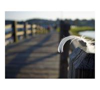 1000 Piece Jigsaw Puzzles for Adults -Feather,bridge,wooden 70x50cm