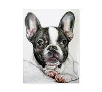 1000 Piece Jigsaw Puzzles for Adults，French Bulldog，Irregular Shaped Pieces for Challenging Fun, Gifts for Family Game Night（38x26cm）-D48