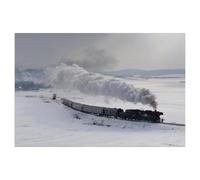 1000 Piece Jigsaw Puzzles for Adults，Full Steam Ahead Through the Winter，1000 Pieces Puzzles for Challenging Family Activity Game Art Wall Decor DIY Puzzle Gifts（38x26cm）-AE60