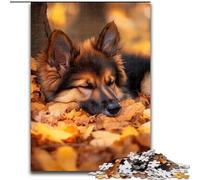 1000 Piece Jigsaw Puzzles for Adults Gifts Shepherd Dog in Fallen Leaves, Suitable for People Aged 14 And Above Educational Games Secret Santa Gifts (Size 26x38cm)