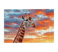 1000 Piece Jigsaw Puzzles for Adults, Giraffe Jigsaw Puzzles for Adults 1000 Piece, Classic Puzzle Challenging Game for the Whole Families, Suitable for Decompression Gifts Theme: (Animal), -1369