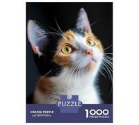 1000 Piece Jigsaw Puzzles for Adults Jigsaw Calico Cat Portrait Adult Jigsaw Fun Games Hand Speed Race Fun Activities at Home 38x26cm/1000pcs