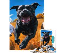 1000 Piece Jigsaw Puzzles for Adults Jigsaw Chasing Dogs Jigsaw Puzzle 1000 Home Decoration Toys Presents for Women Gifts for Friends And Family (38x26cm)