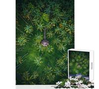 1000 Piece Jigsaw Puzzles for Adults Jigsaw Coastal Haven Hands-on Game Family Activities Educational Toy Help The Brain Exercise (38X52CM)