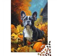 1000 Piece Jigsaw Puzzles for Adults Jigsaw Fall Pumpkin French Bulldog Jigsaw for Adults Relax Games Improve Memory Challenging Game Gifts 38x26cm/1000pcs
