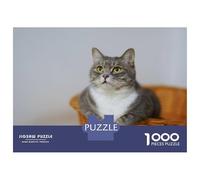 1000 Piece Jigsaw Puzzles for Adults Jigsaw Gray Tabby Cat in Basket Puzzles for Adults Relax Games Birthday Present Christmas Birthday Gifts 70x50cm/1000pcs