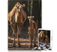 1000 Piece Jigsaw Puzzles for Adults Jigsaw Mother And Baby Camel Ideal for Quiet Relaxing Moments Clean Uniform Cut Leisure Toy Size 38x52cm