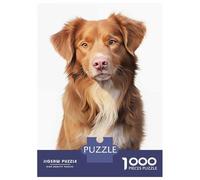 1000 Piece Jigsaw Puzzles for Adults Jigsaw Nova Scotia Duck Dog Jigsaw for Adults Relax Games Improve Memory Challenging Game Gifts 52x38cm/1000pcs